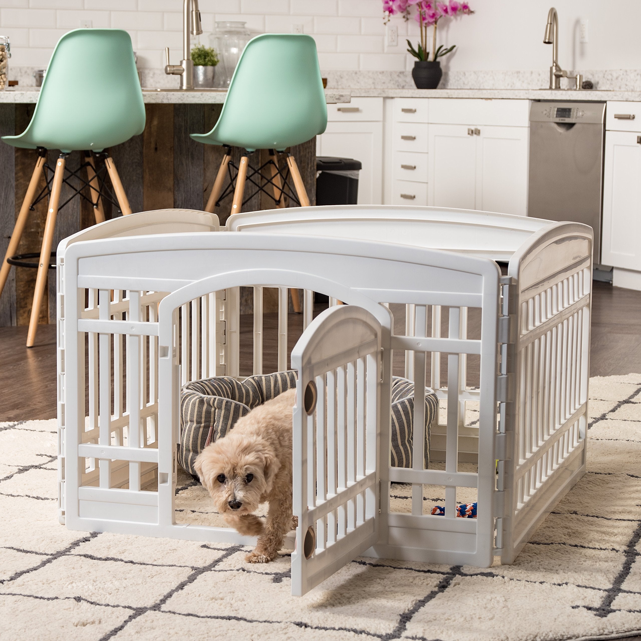 IRIS USA Parfait pour chiens petits et moyens en déplacement.