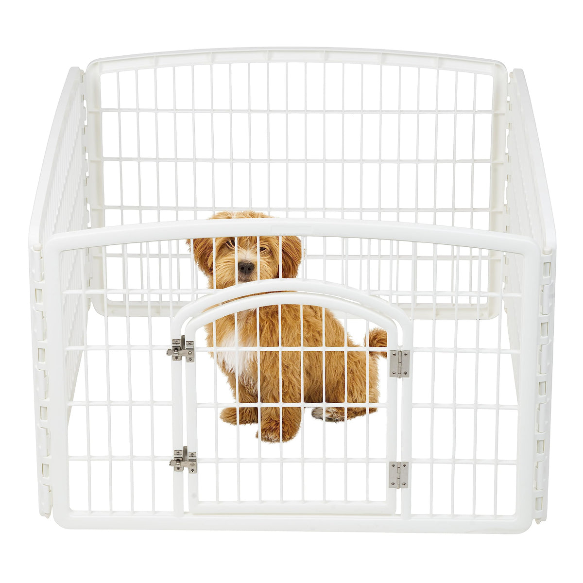 Parc chien IRIS USA avec 4 panneaux, espace sûr et modulable.