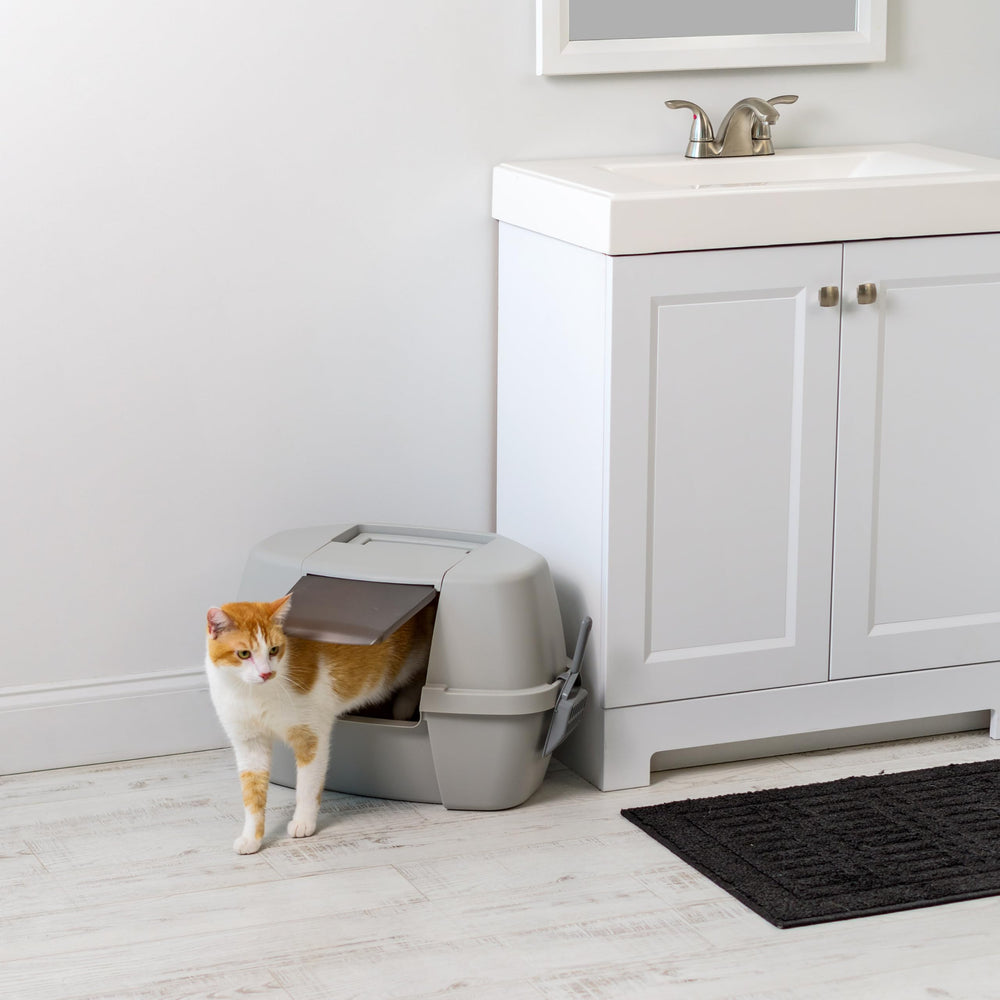 Espace privé pour chat Iris USA, confort renforcé.