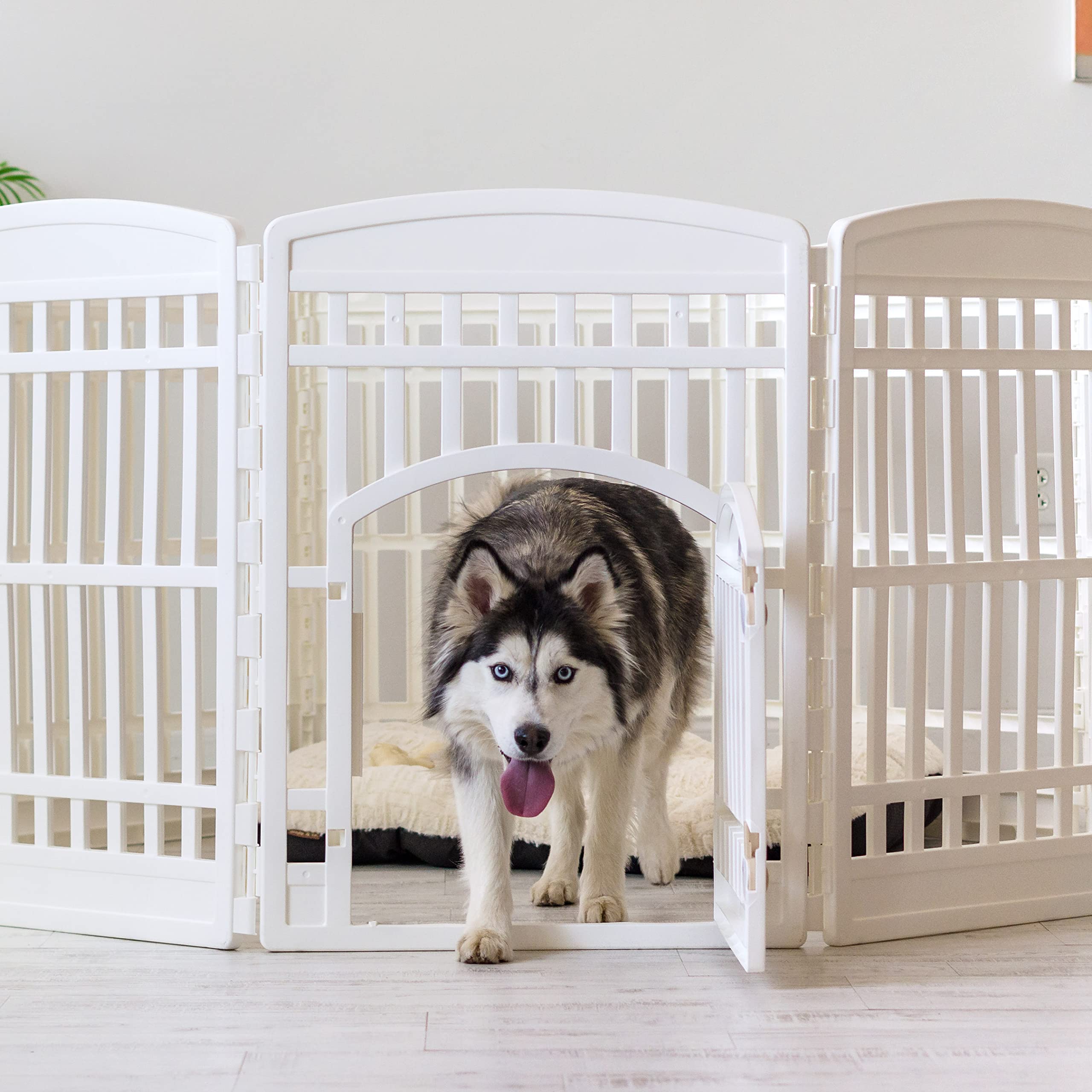 Espace de jeu autonome et sûr pour votre animal avec Iris USA.