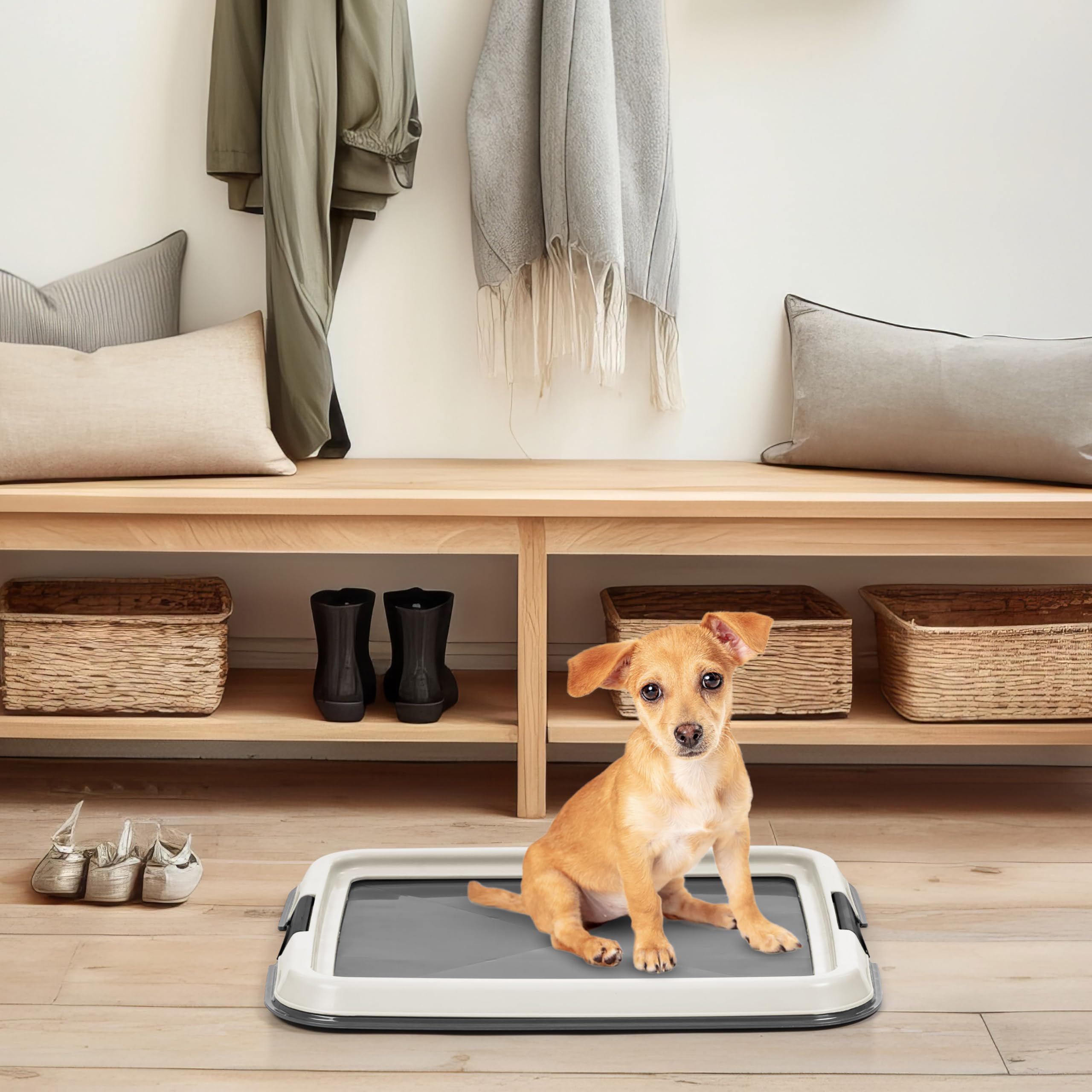 Conçu pour petits chiens et chiots Iris USA rend l'entraînement plus pratique.