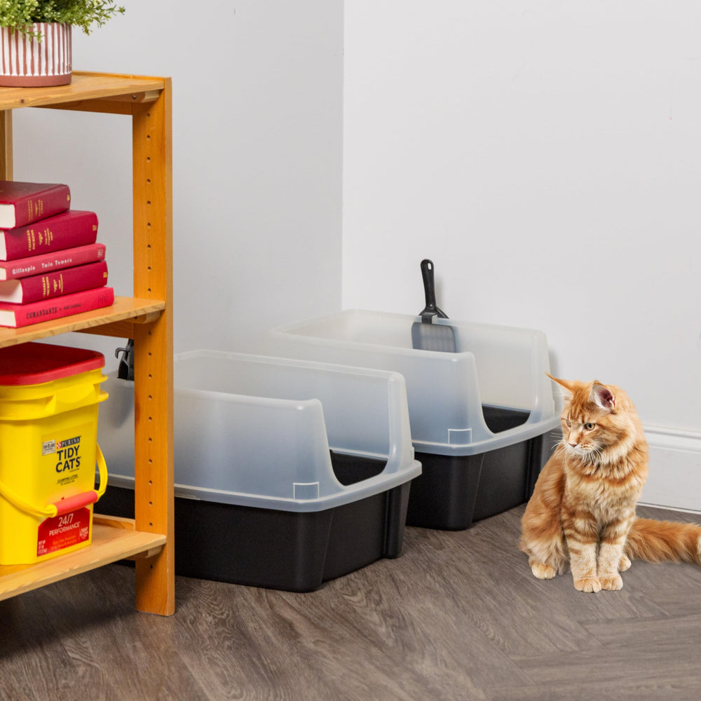 Confort du chat assuré avec le bac IRIS USA taille adaptée et ouvert.