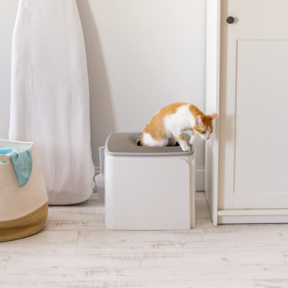 IRIS USA Design anti-chien protège l'espace et la litière.