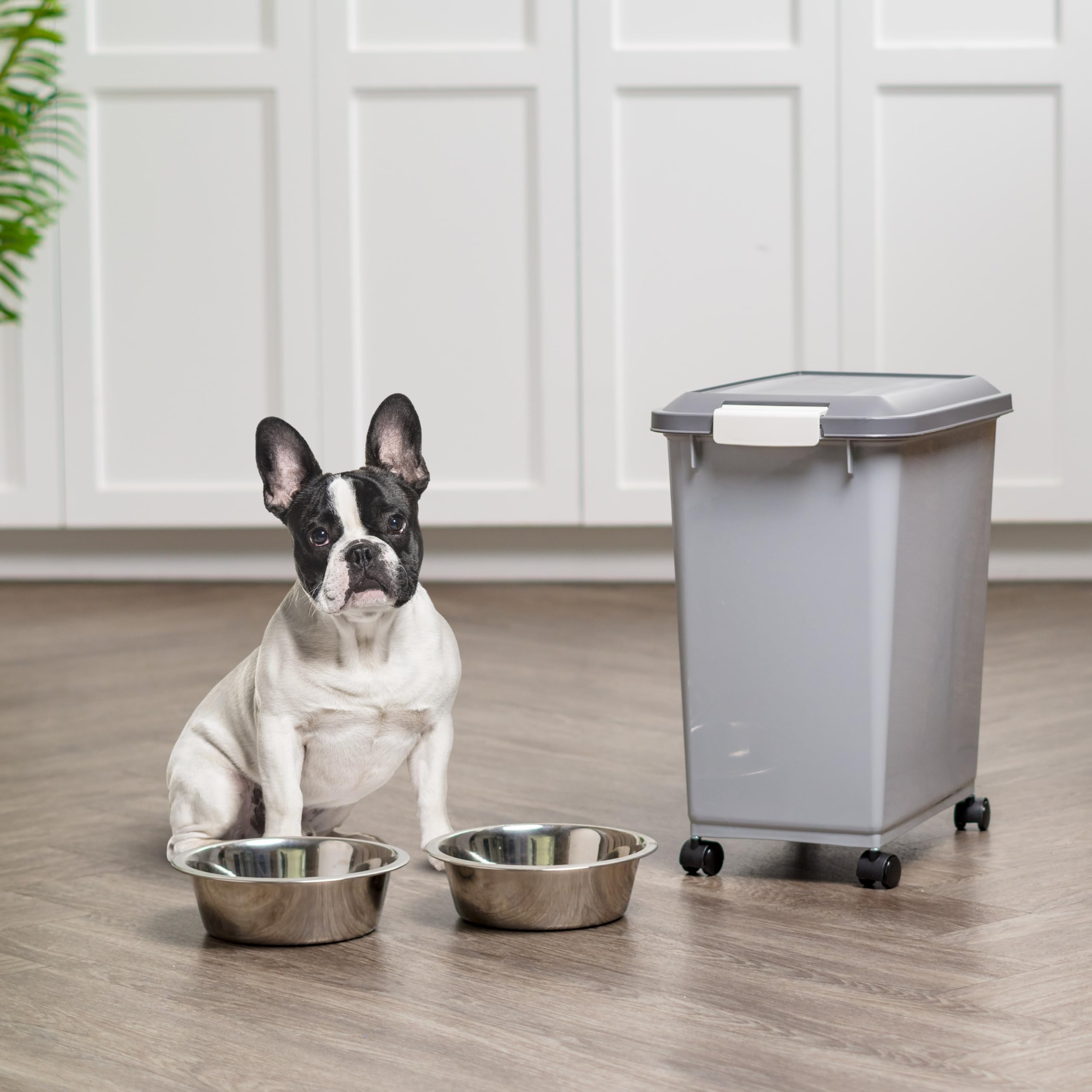 IRIS USA matériau sans BPA et conformité FDA pour une utilisation sûre.