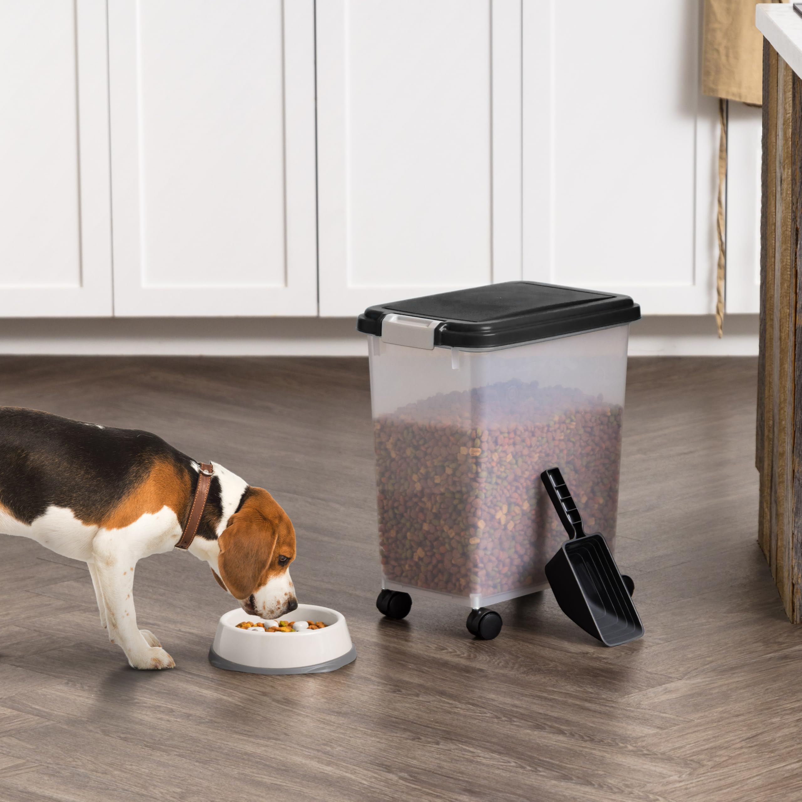 Matériaux sans BPA IRIS USA pour sécurité et nettoyage facile.