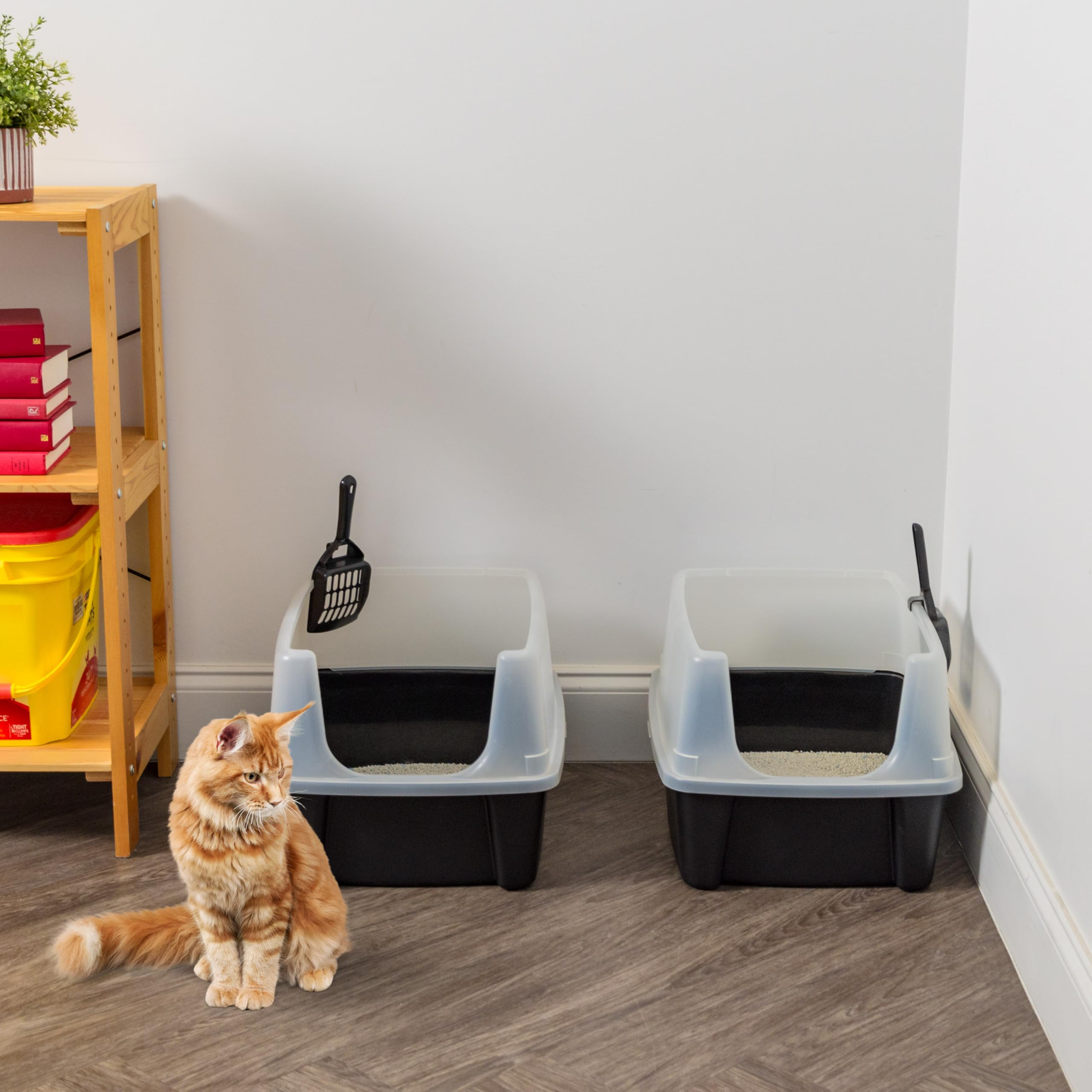 Utilisation multi-chat en intérieur avec le lot IRIS USA.
