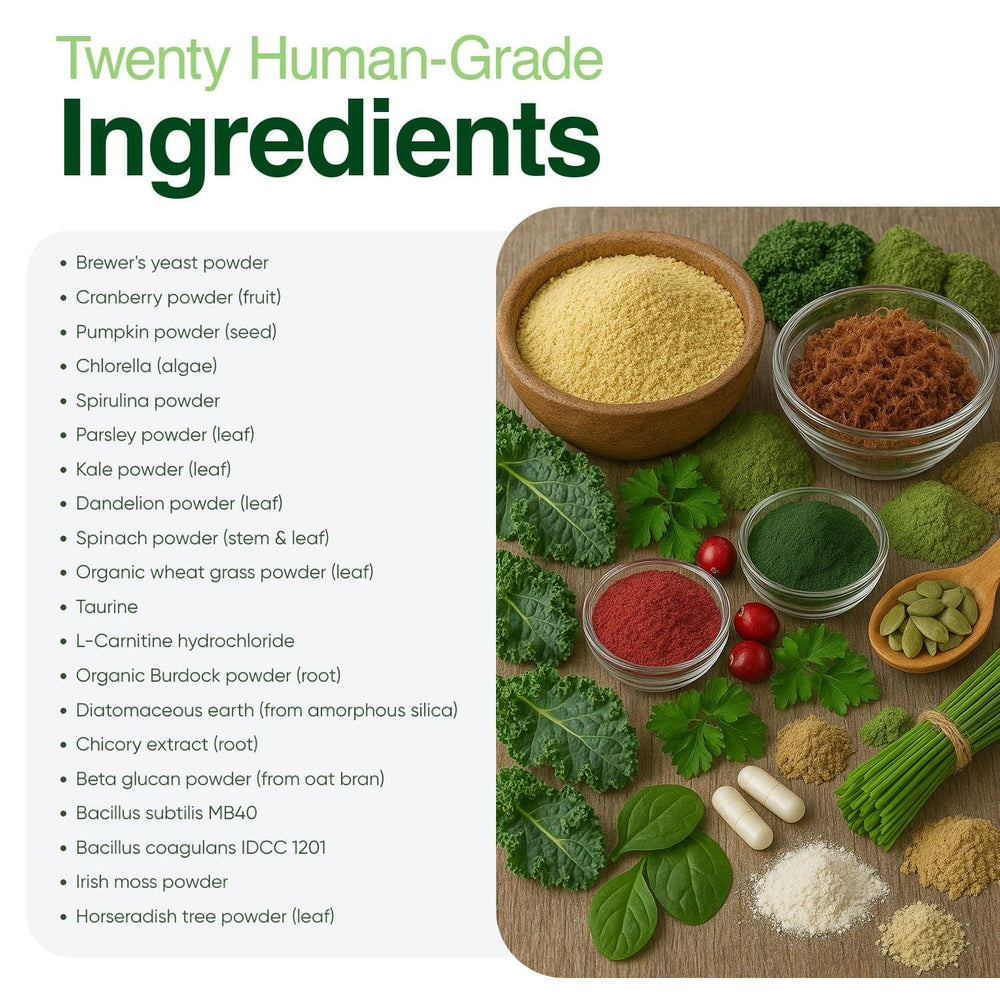 Iron Paws poudre greens pour peau et poil eclatants