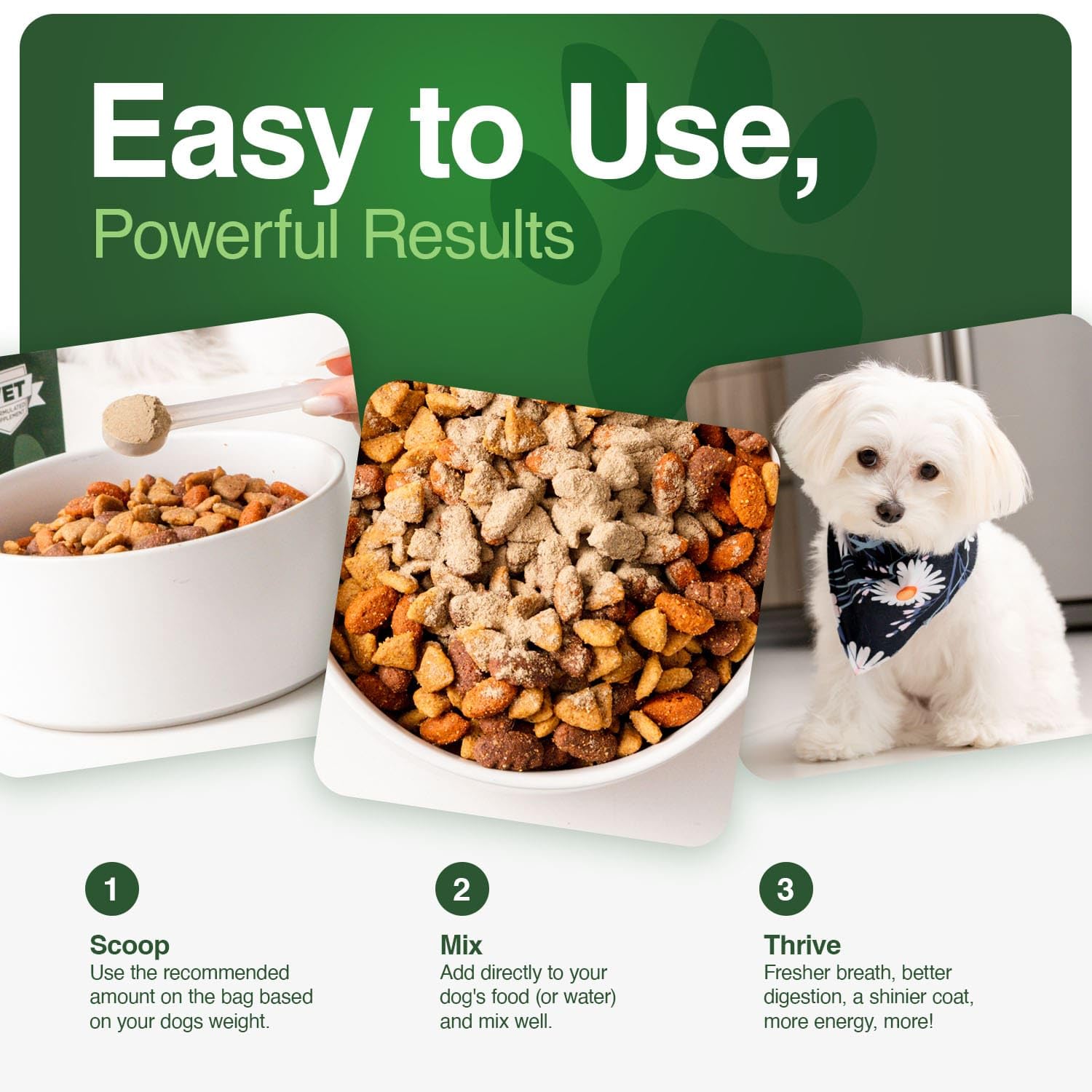 Iron Paws poudre greens pour digestion et equilibre intestinal