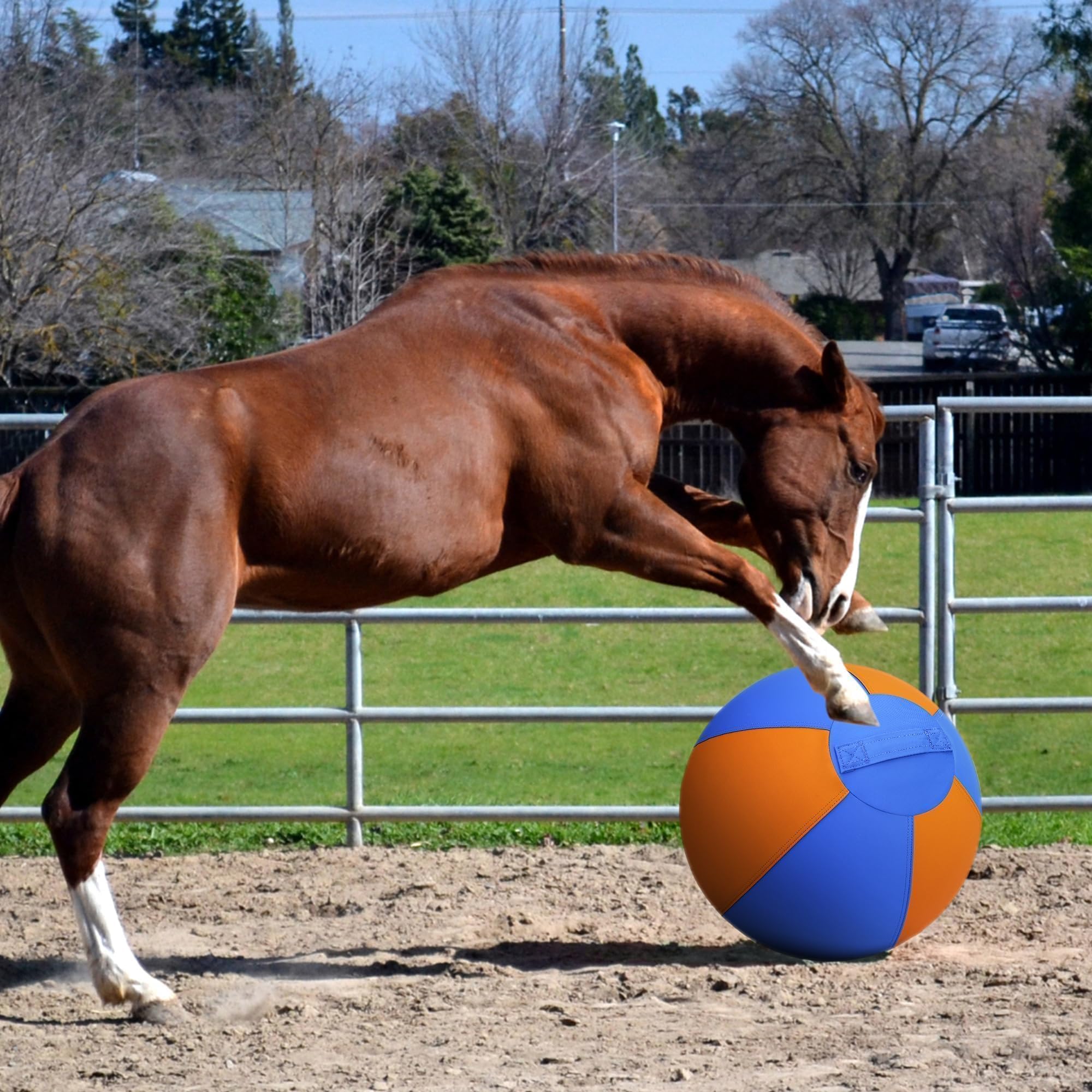 Balle Irondance 25 pouces bleu-orange en action pendant le jeu.