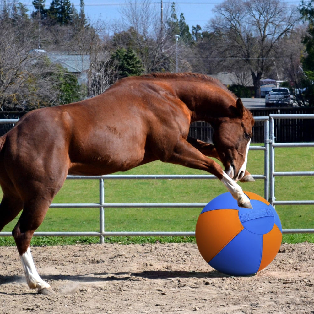 Balle Irondance 25 pouces bleu-orange en action pendant le jeu.