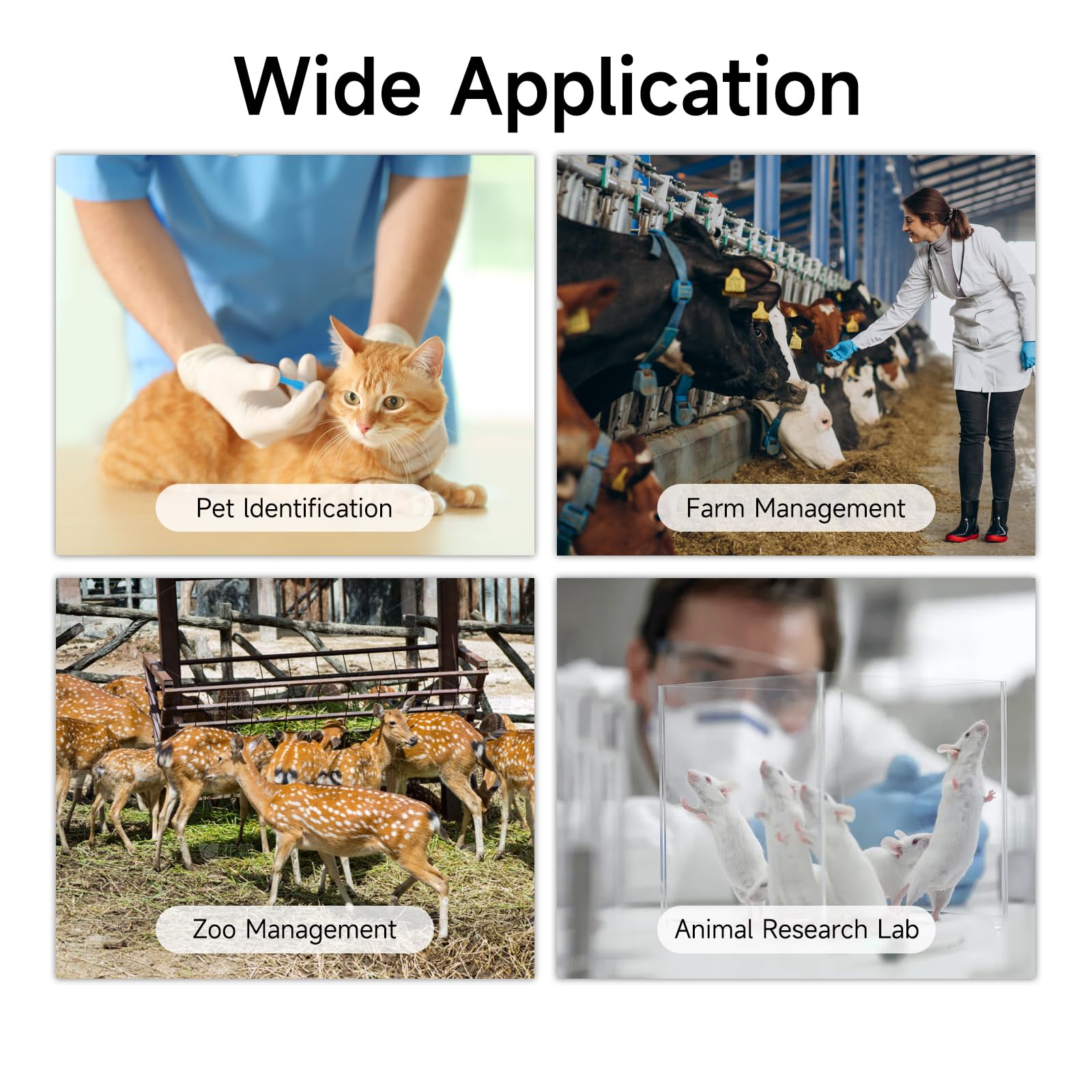 ISENVO puce-traceabilite-animal-betail: facilite le suivi et l'enregistrement.