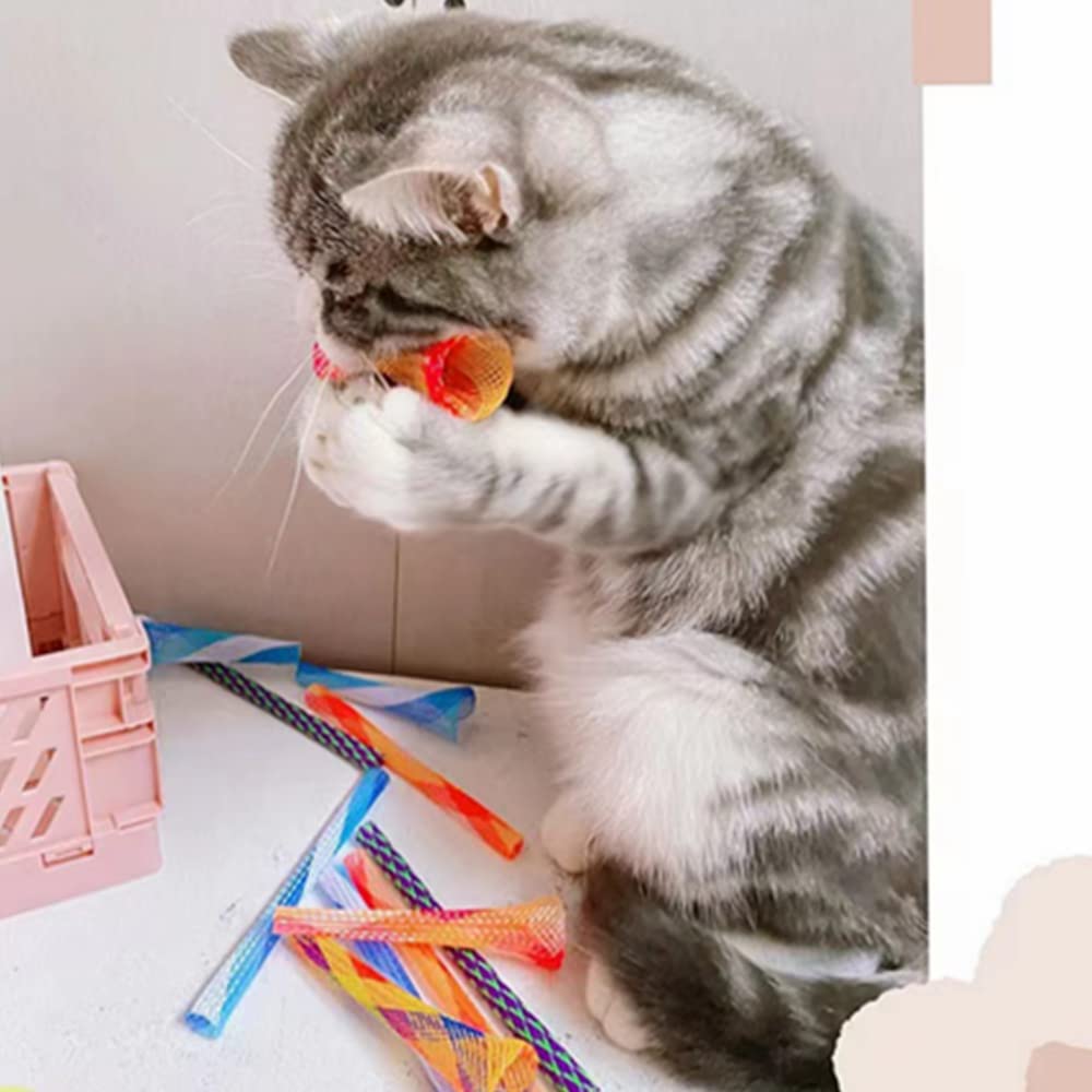 Pack remplacement ISMARTEN: tubes-ressort pour chat, solution pratique