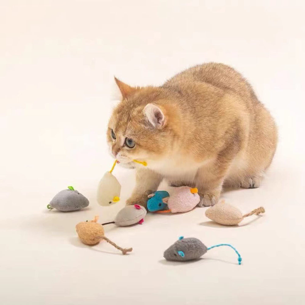 Kit de 6 jouets chats ISMARTEN, stimule les sens et réduit l’ennui.