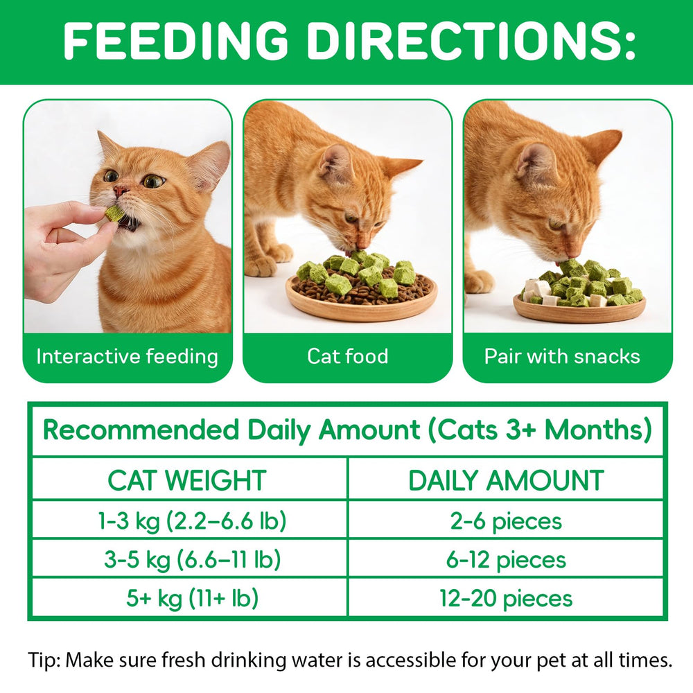 ISUNRISE Bouchées croustillantes d'herbe – texture agréable pour chats.