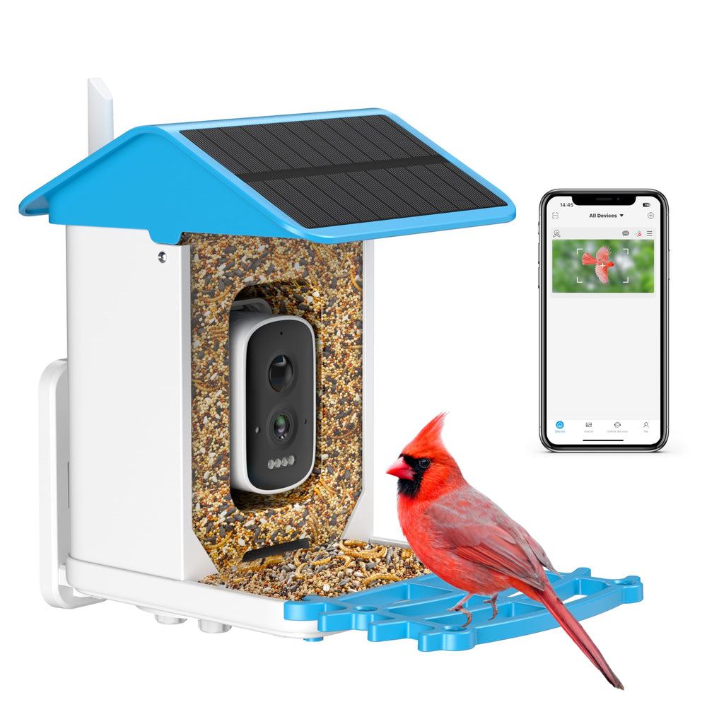 Mangeoire isYoung avec caméra 2,5K et détection d'espèces pour observation à distance.