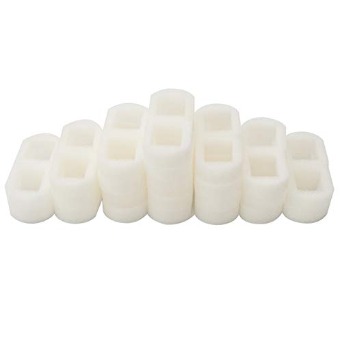 Filtre mousse ITidyHome pour Drinkwell Pagoda – utilisation pratique et efficace