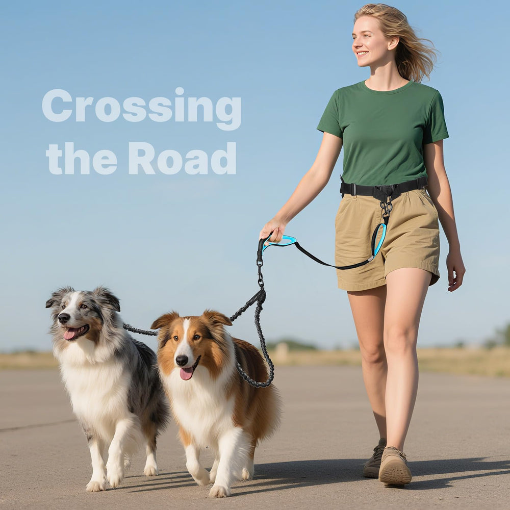 ITNAST Solution polyvalente pour activités actives avec deux chiens.