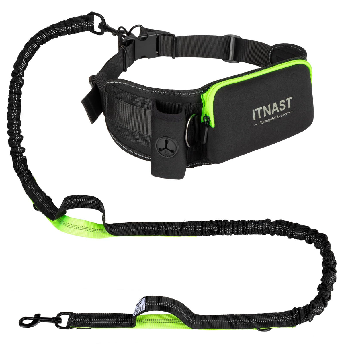 Laisse sans mains ITNAST sur chien moyen-grand avec ceinture-taille en néoprène pour plus de confort.