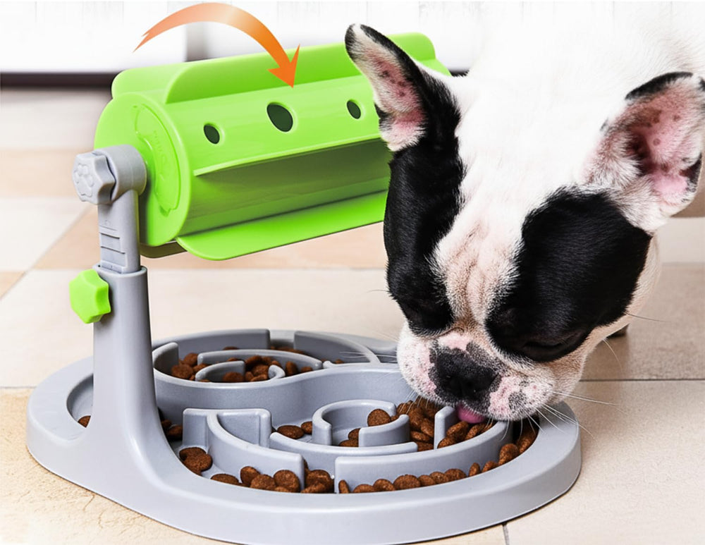 Ito Rocky stimulation intelligence: encourage réflexion et mission pendant les repas.