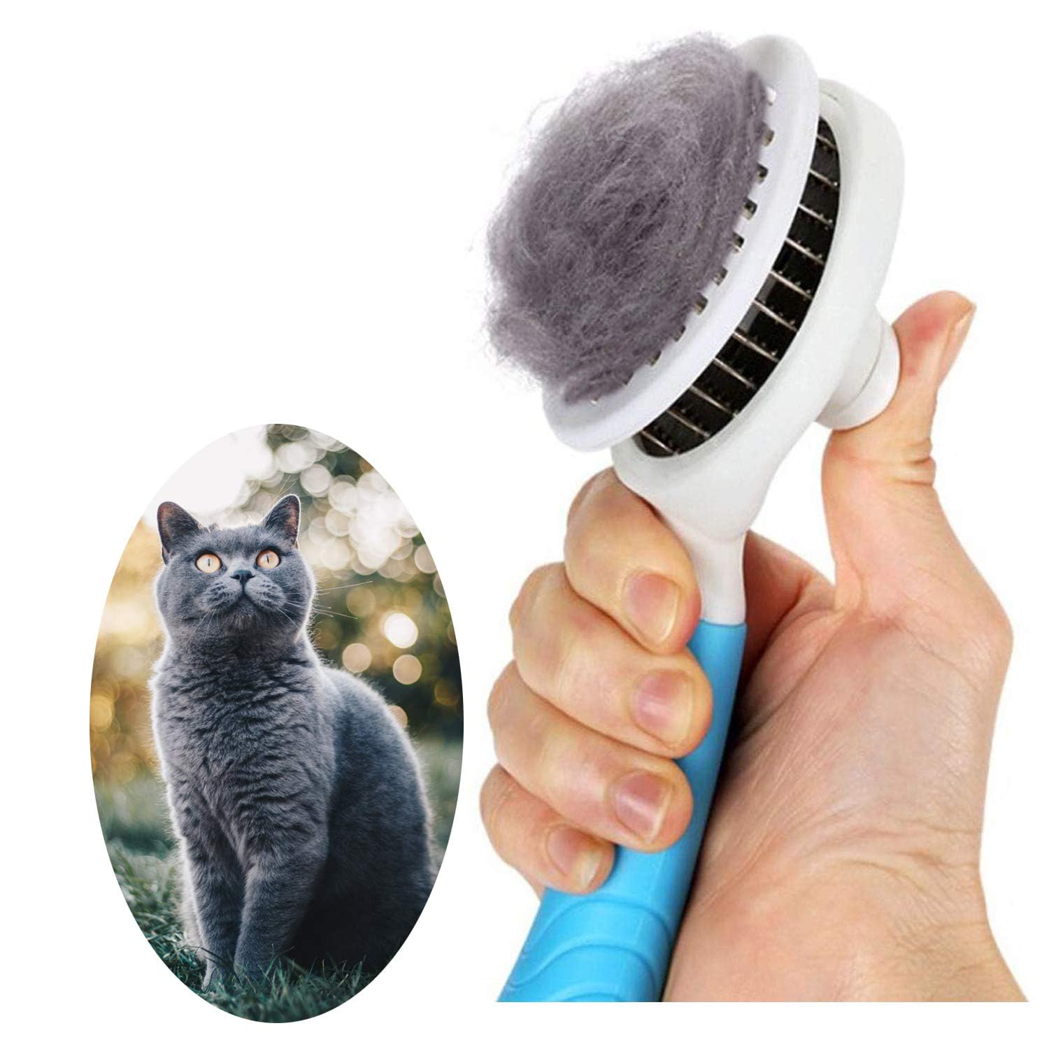 itPlus brosse démêlage automatique, facilite le soin des chiens et chats.