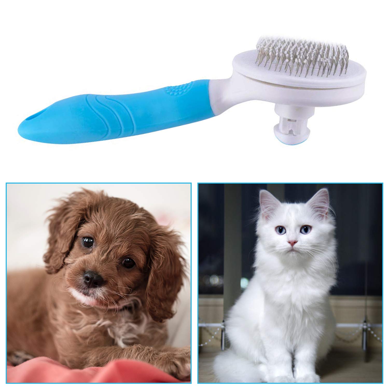 itPlus entretien poil à domicile, grooming pratique pour tous les poils.