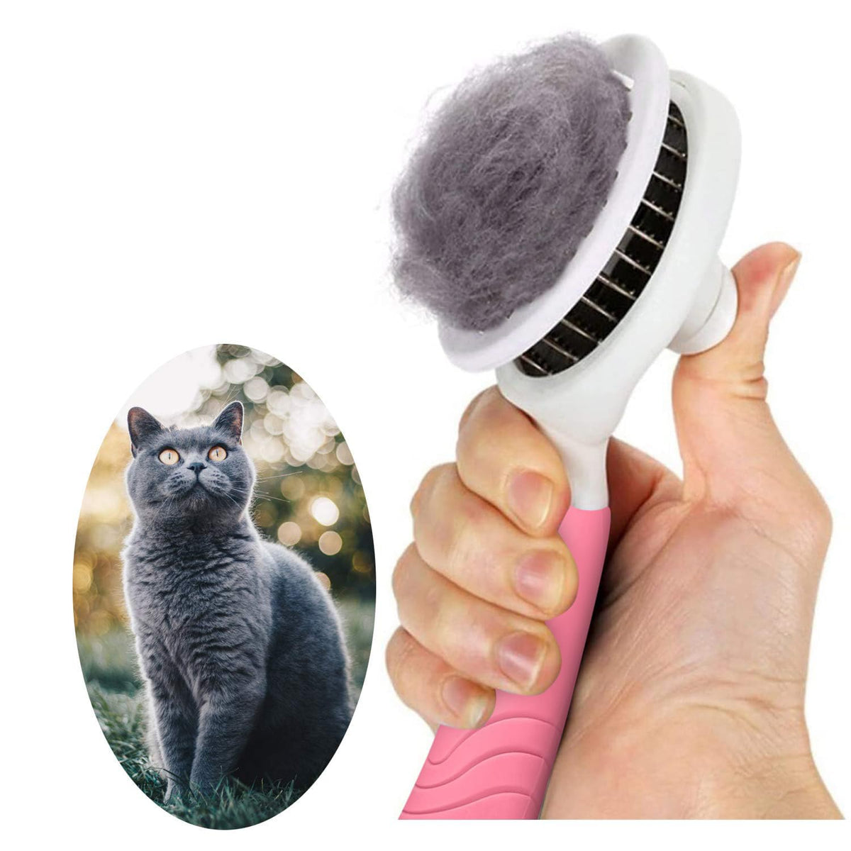 itPlus brosse slicker deshedding chat – élimine délicatement les poils morts.