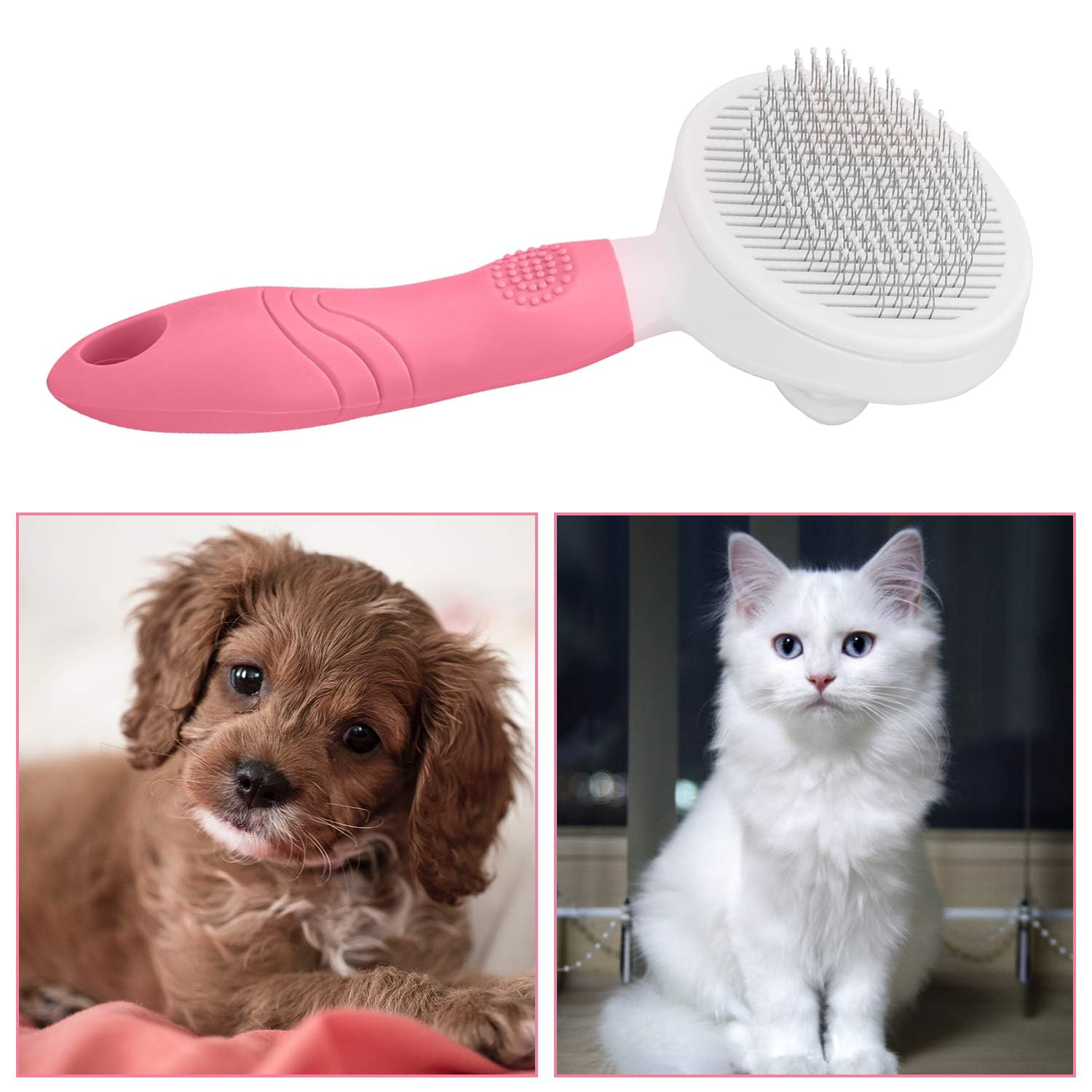 itPlus brosse slicker poils courts – entretien efficace des poils courts.