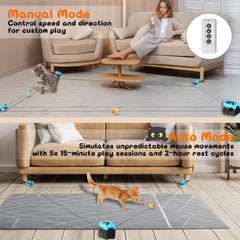 ITSHINY tapis roulant pour chat, 3 vitesses, usage polyvalent et amusant.