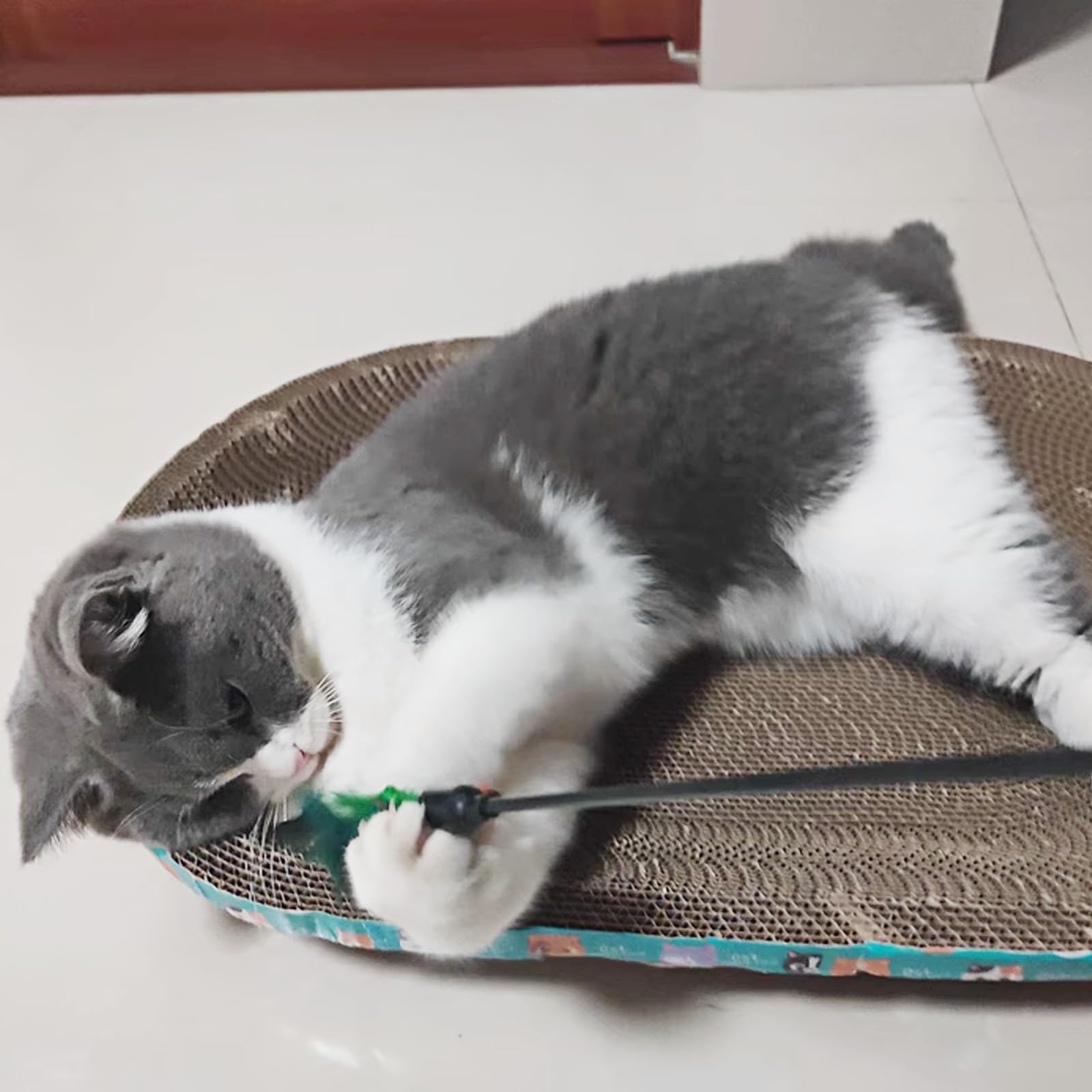 IUHKBH jouet-chat-anti-stress-activite : distraction apaisante pour le chat