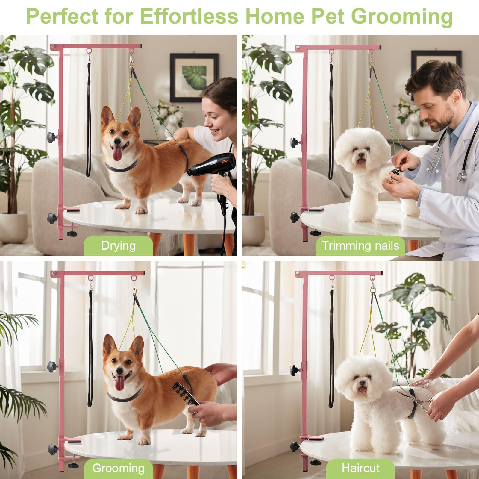 IVEKEN ensemble toilettage compact rose idéal pour petits et moyens chiens