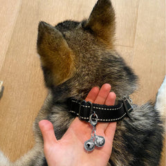 IVIA PET cloche chat cuivre, son net pour localiser rapidement