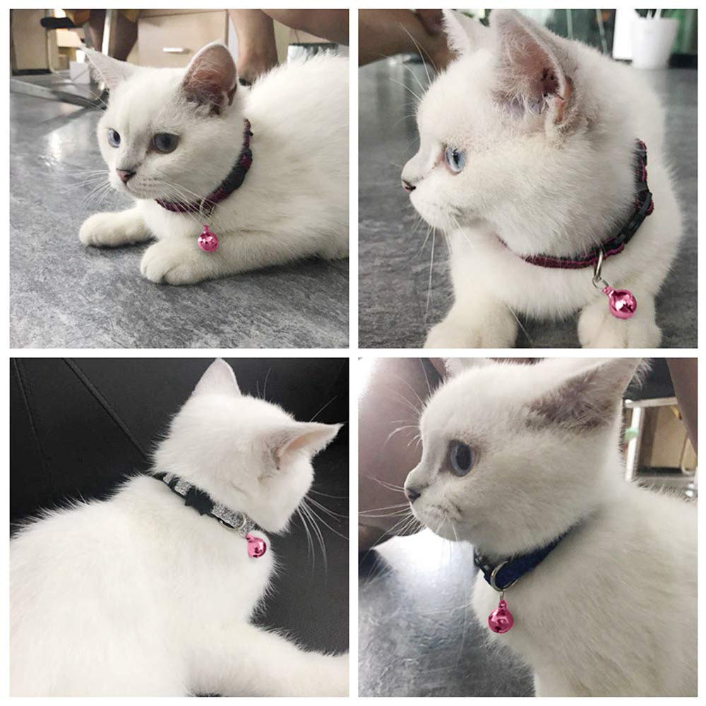 IVIA PET: détail cloche cuivre rose, design élégant et robuste.
