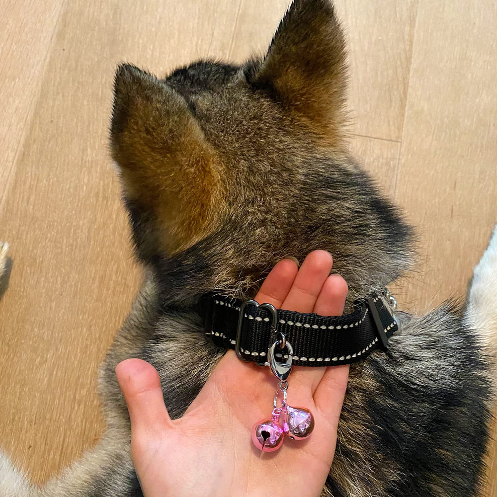 IVIA PET4 collier chat et chien, couleur rose.