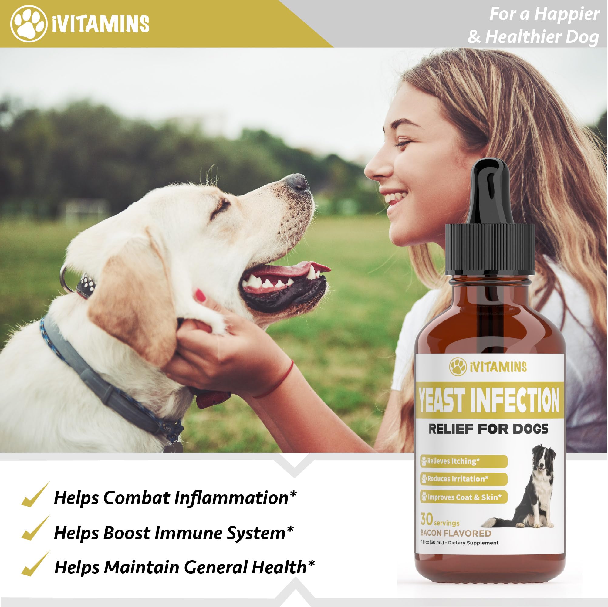 iVitamins absorption rapide, soutien quotidien pour chien