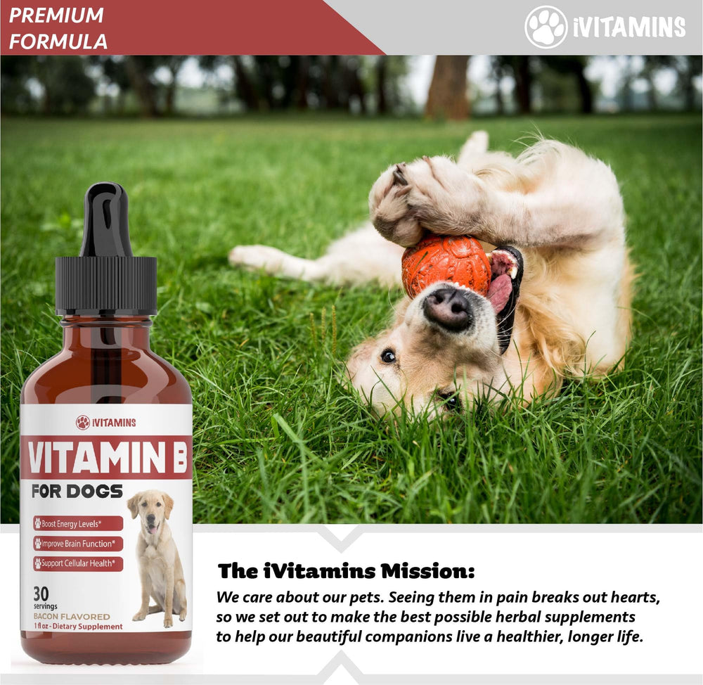 iVitamins assurance satisfaction – remboursement si non satisfait.