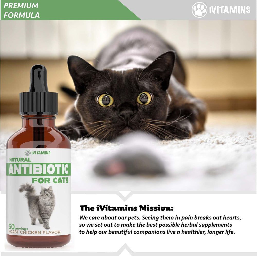 iVitamins Chat Antibiotique - dosage rapide et absorption efficace.