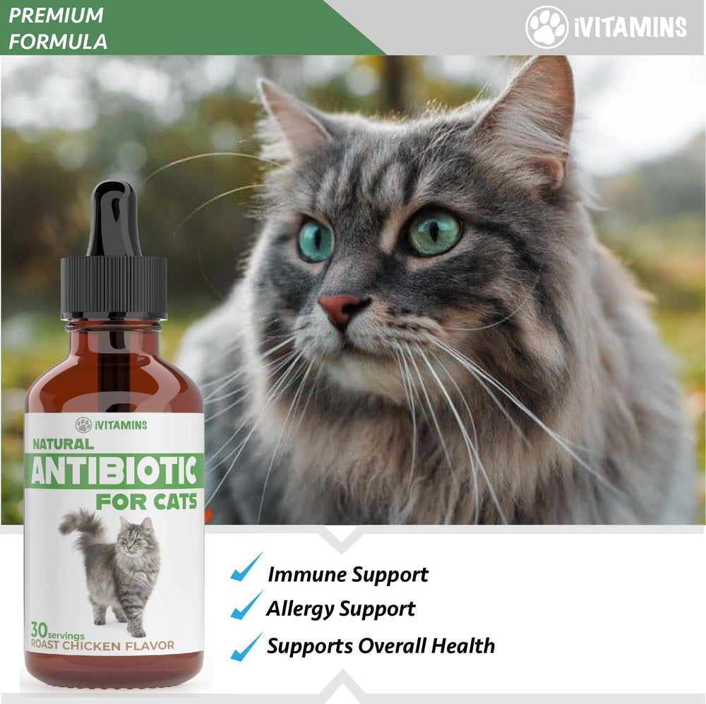 iVitamins Chat Antibiotique - gouttes faciles à administrer, amélioration du quotidien.