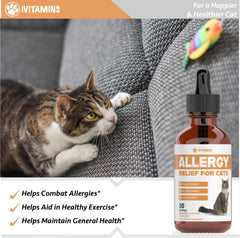iVitamins chat immunité équilibre – soutien potentiel du système immunitaire.