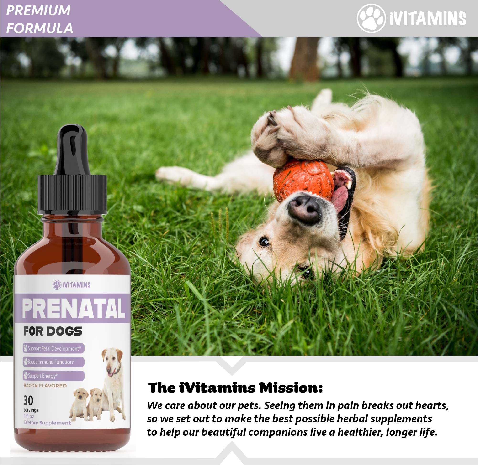 iVitamins Chien Prenatal, gouttes liquides soutenant le développement des chiots.