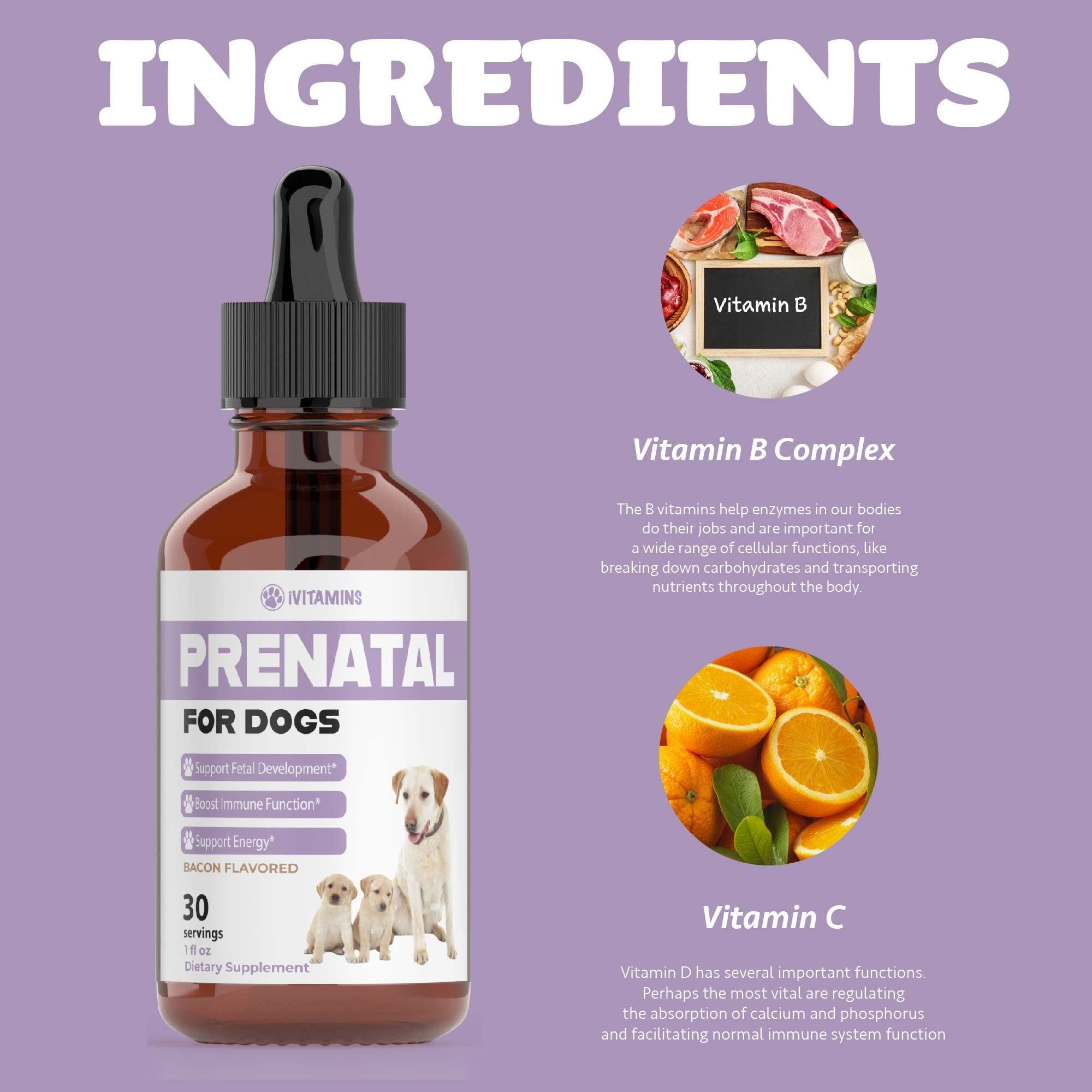 iVitamins Chien Prenatal, forme liquide pratique pour dosage précis.