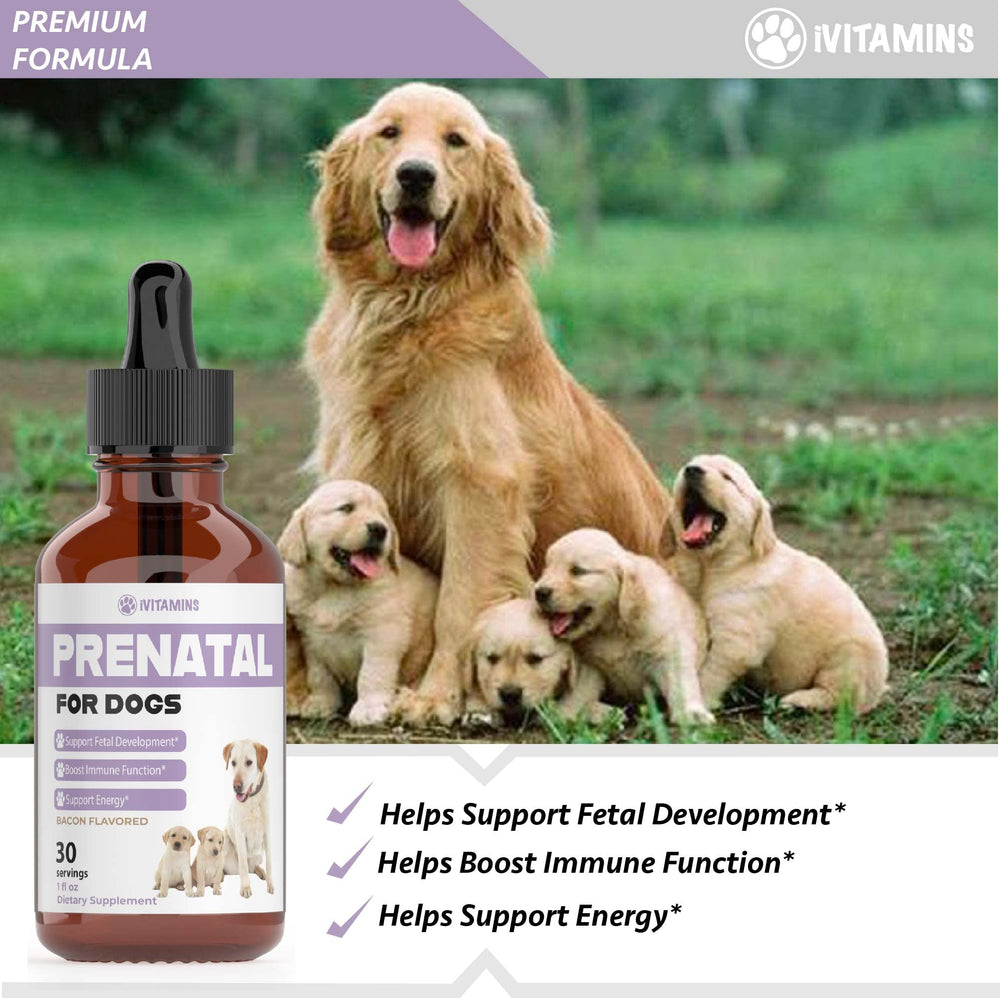 iVitamins Chien Prenatal, gouttes liquides, absorption rapide et efficace.