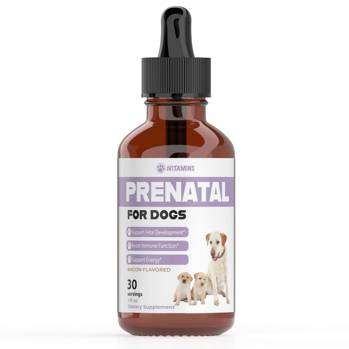 iVitamins Chien Prenatal, flacon gouttes, absorption rapide pour chiens.