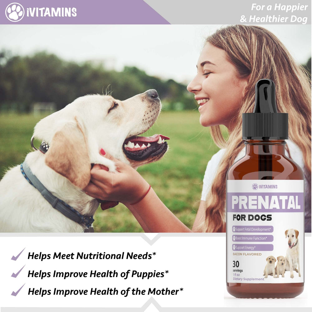 iVitamins Chien Prenatal, gouttes faciles à mélanger à la nourriture.