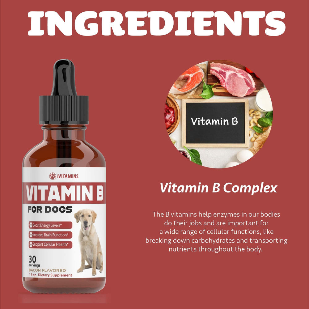 iVitamins fabriqué aux États-Unis – qualité et sans cruauté.