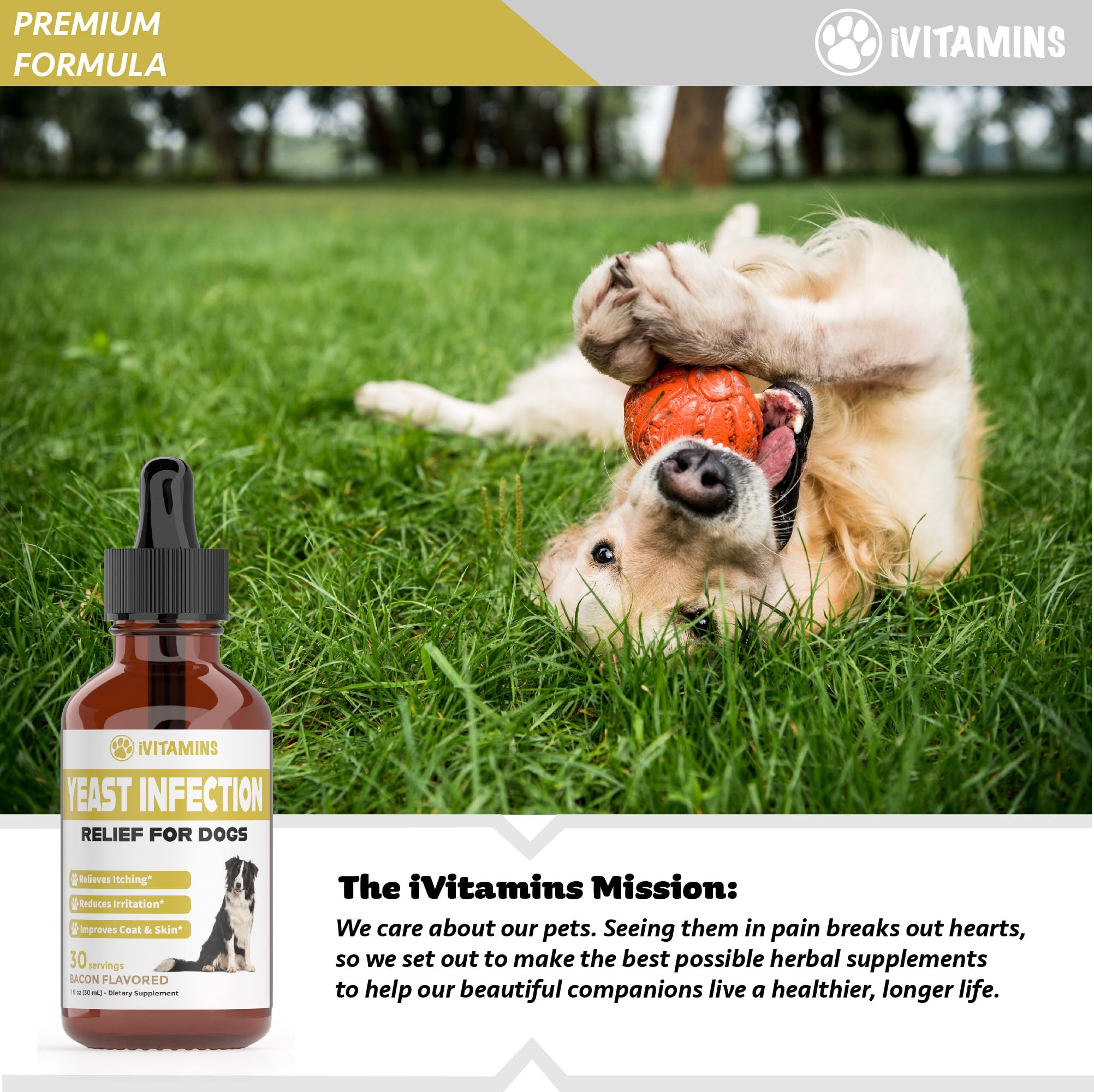 iVitamins saveur bacon, goût apprécié par les chiens