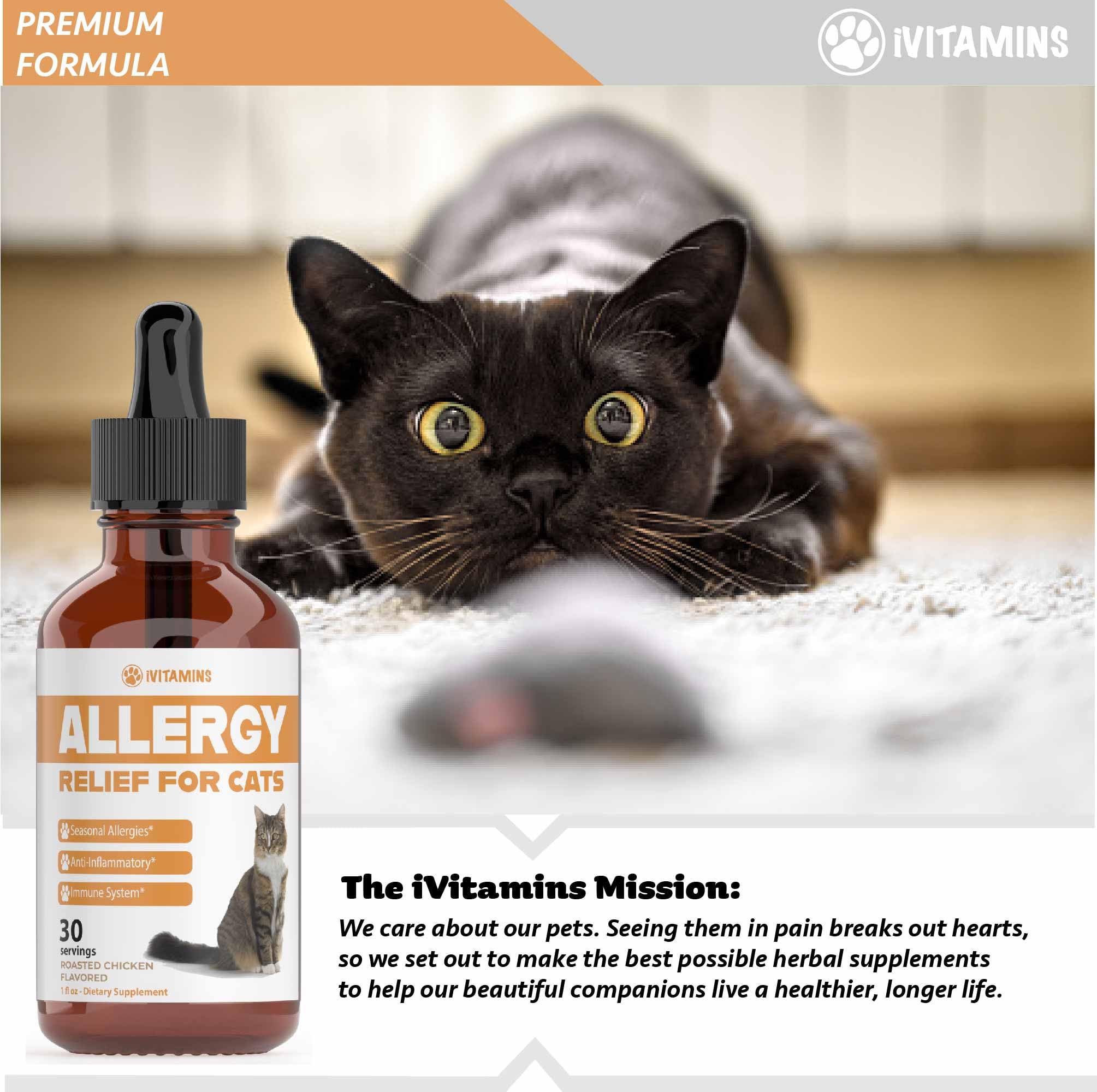 iVitamins solution allergie chat – approche naturelle pour le bien‑être.