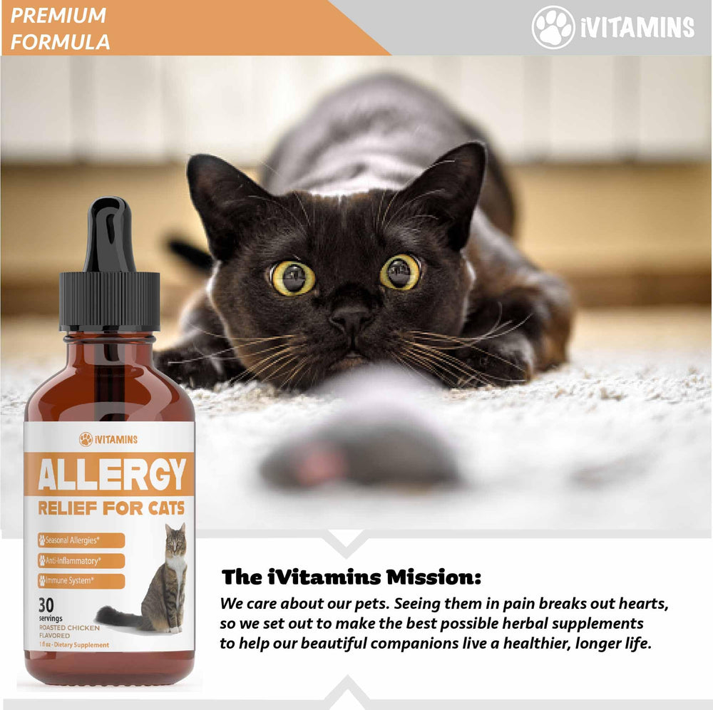 iVitamins solution allergie chat – approche naturelle pour le bien‑être.