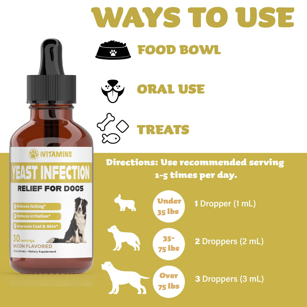 iVitamins flacon liquide, solution rapide pour chien