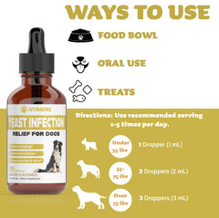 iVitamins flacon liquide, solution rapide pour chien