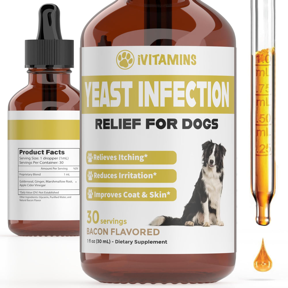 iVitamins flacon de gouttes pour chien, potentiel soulagement des démangeaisons